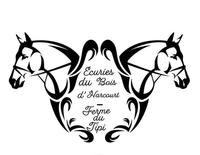 Bienvenue dans un centre équestre convivial